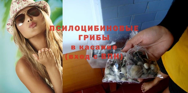 дурь Балахна