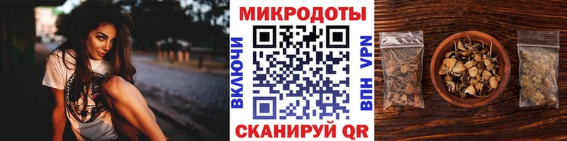 мега ONION  Кохма  Псилоцибиновые грибы мицелий 